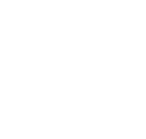 logo exclusive networks